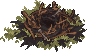 Harpies Nest