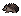 Hedgehog