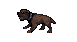 War Dog